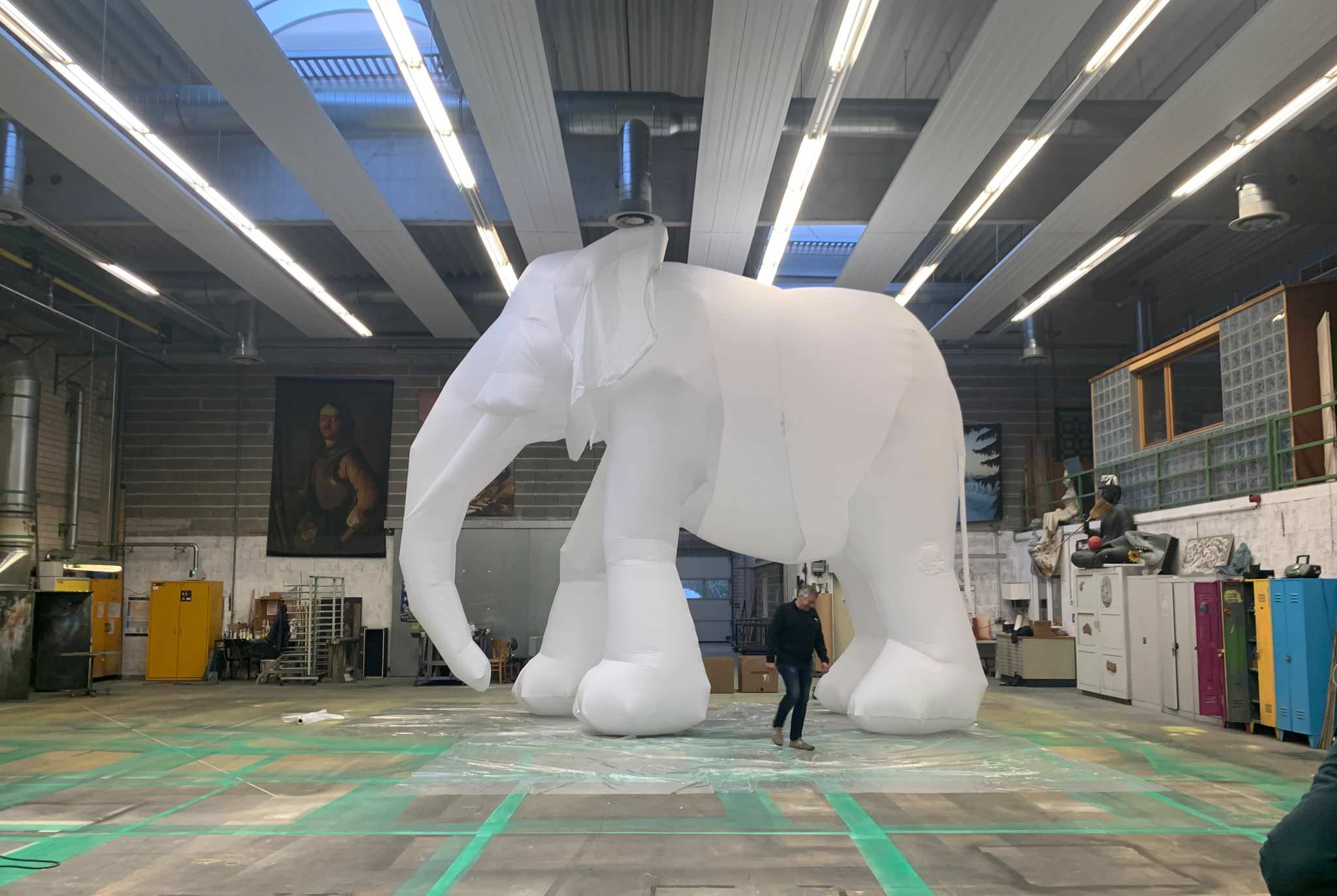 the elephant in the room