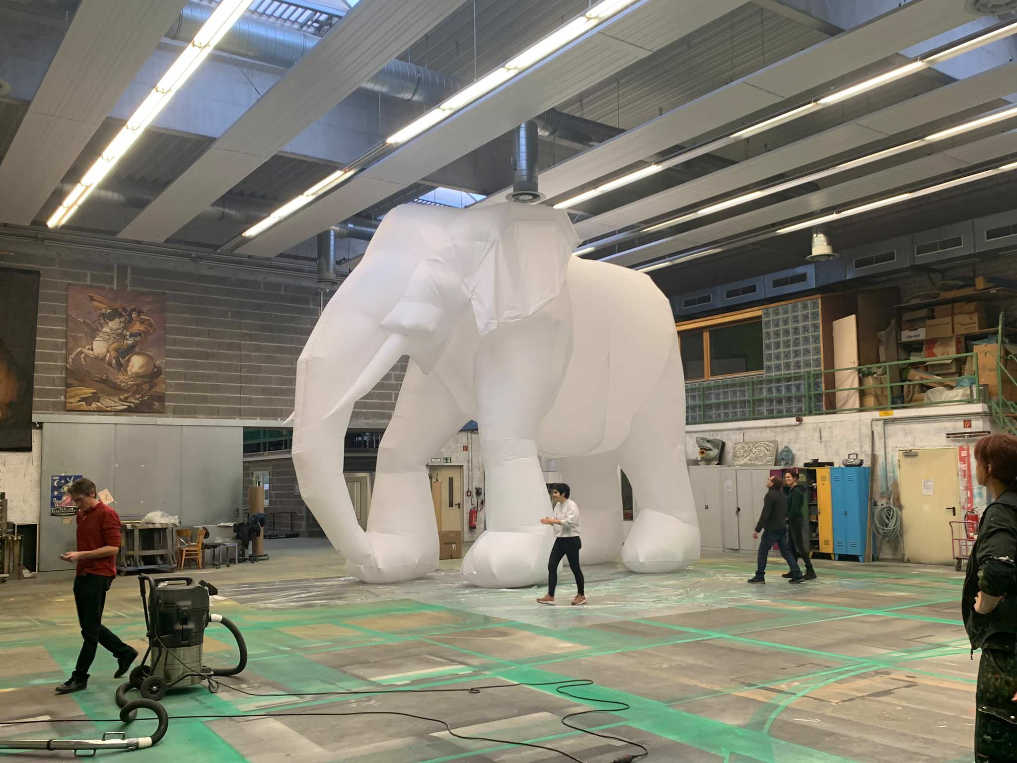 the elephant in the room